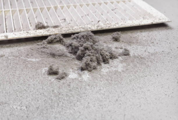 Best Commercial HVAC Duct Cleaning  in Murfreesboro, AR